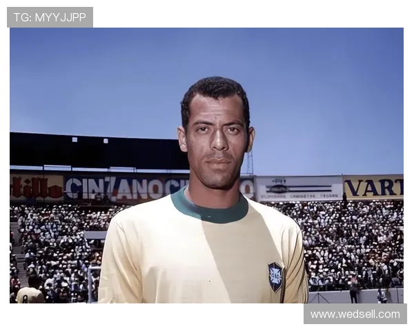 真正的四号足球球星有哪些 足坛四号球员的传奇与成就解析